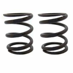 Best reviews of 🤩 ARC Racing (2) Pack Of 22Lb Valve Springs 🤩