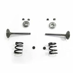 Best Pirce 🔥 ARC Racing Stainless Steel Valve Kit Predator 212 Hemi Predator 224 Max Performance 😉